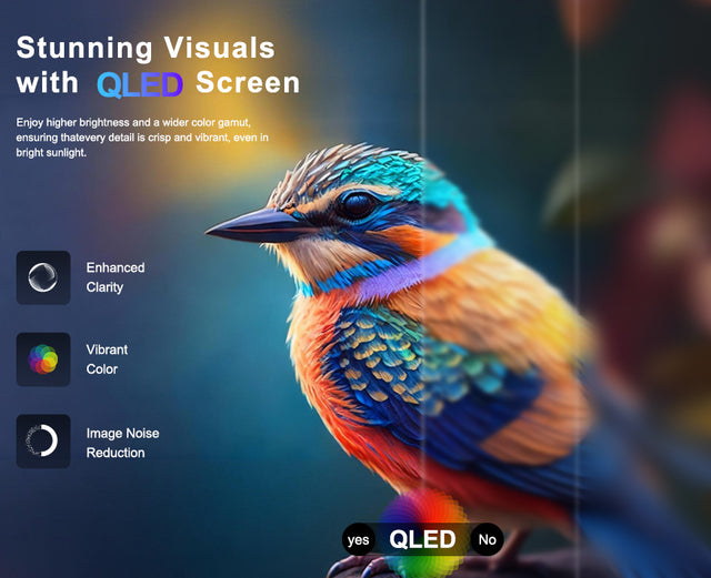 QLED Screen